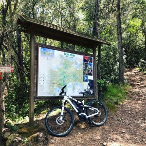 Escursione E-bike