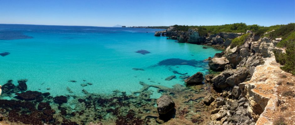 Escursione isola di Pianosa