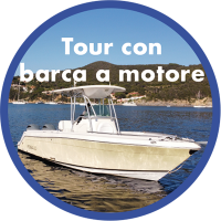 Tour in barca a motore Robalo