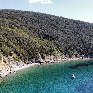 Robalo, tour in barca a motore