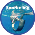 Snorkeling Isola d'Elba