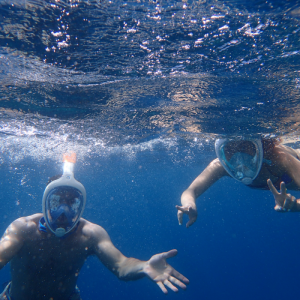 Snorkelink all'Isola d'Elba