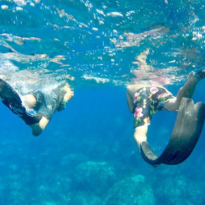 Snorkelink all'Isola d'Elba