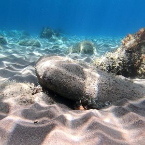 Snorkeling Isola d'Elba