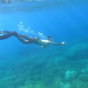 Snorkelink all'Isola d'Elba