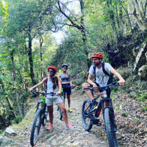 Ebike_01-790x790